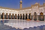 الجامع الأزهر يناقش وجوه الإعجاز في حديث القرآن عن الطير
