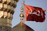 أنصار الحسين(ع)... الوعي والبصيرة والتضحية والفداء