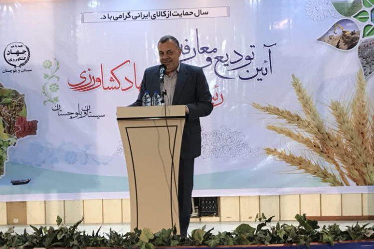 اصلاح الگوی کشت یک ضرورت در جهت حفظ آب است