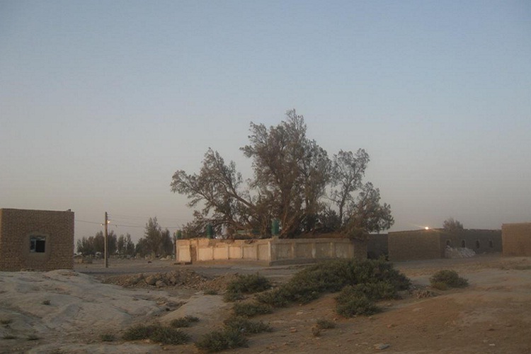 ثبت یک موقوفه قرآنی در سیستان