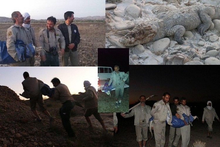 نجات گاندوی زخمی گرفتار در سیلاب