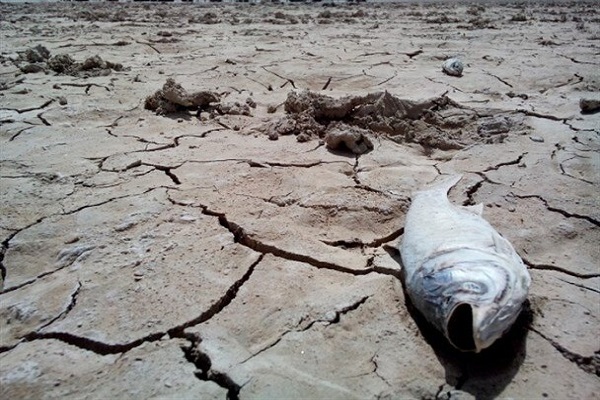 تالاب هامون