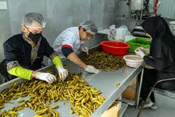 مشاغل خانگی