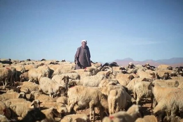 ذبح قربانی در مراکش ممنوع شد