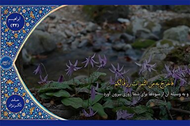 فیلم | مقطع شنیدنی از تلاوت «حامد شاکرنژاد»