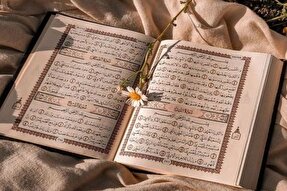 فیلم | تلاوت سوره نصر از سوی نوجوان قرآنی اسدآبادی