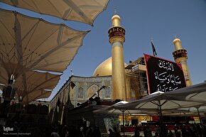 فیلم | نجف در تب و تاب وصال زائران حسینی