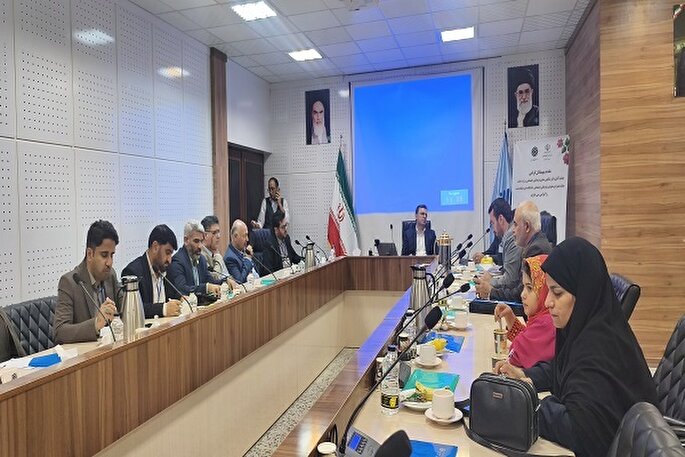 نشست معاونین فرهنگی و اجتماعی منطقه 8 کشور برگزار شد + فیلم