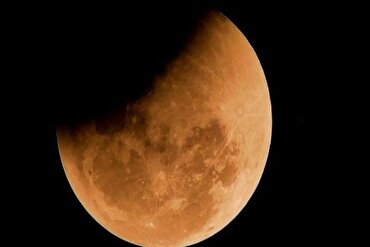मिस्र के धर्मस्व मंत्रालय ने मस्जिदों में नमाज़ अदा करने का आह्वान किया