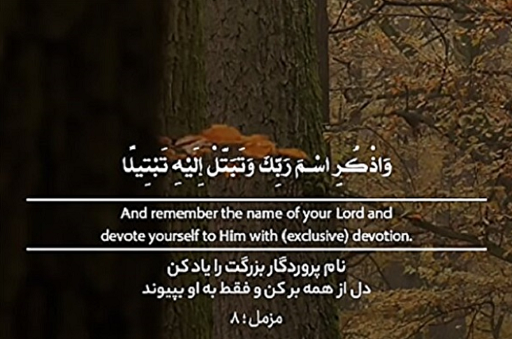 Klipu | Ujitolee kwake kwa ukamilifu